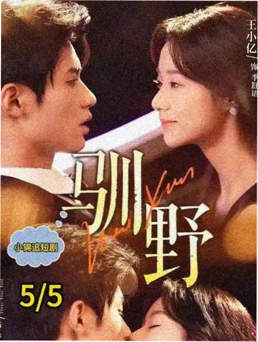 人气女主剧集 月台之上